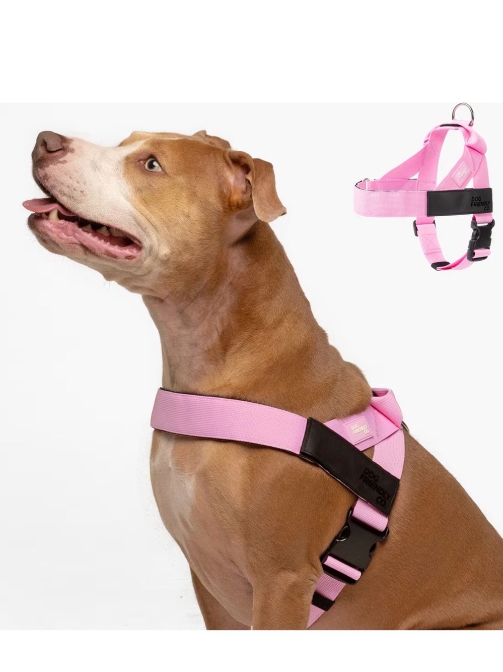 Dog Harness by – Pink No-Pull Comfort Harness